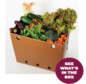 what's in the box