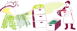 farm to chef image